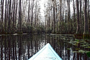 Kayak Camp along the Okefenokee Swamp