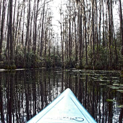 Kayak Camp along the Okefenokee Swamp