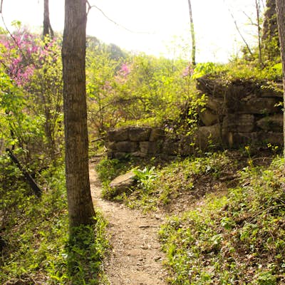 Clifty, Hoffman, and Tunnel Falls Loop