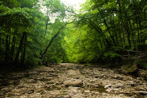 Clifty, Hoffman, and Tunnel Falls Loop