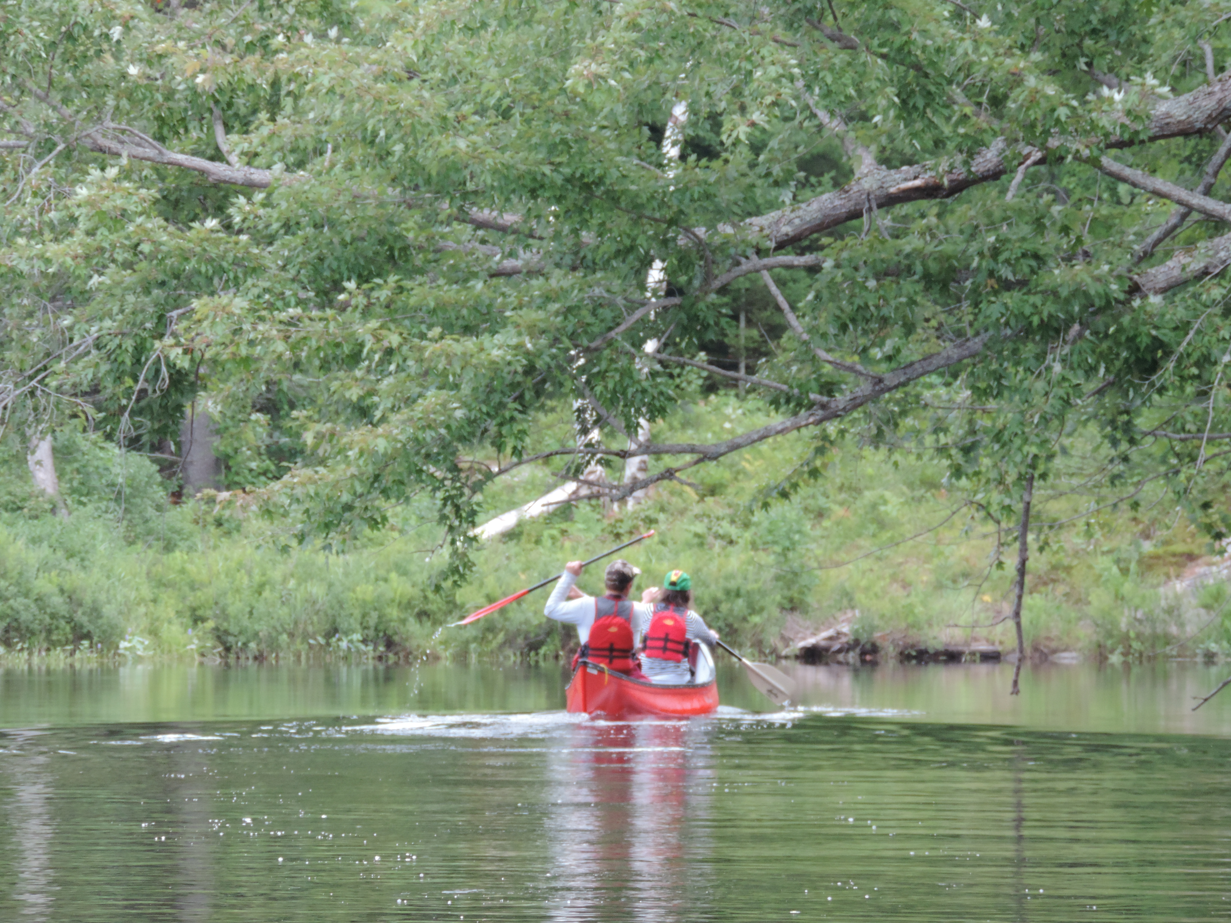 Canoe Camp the Mississauga River