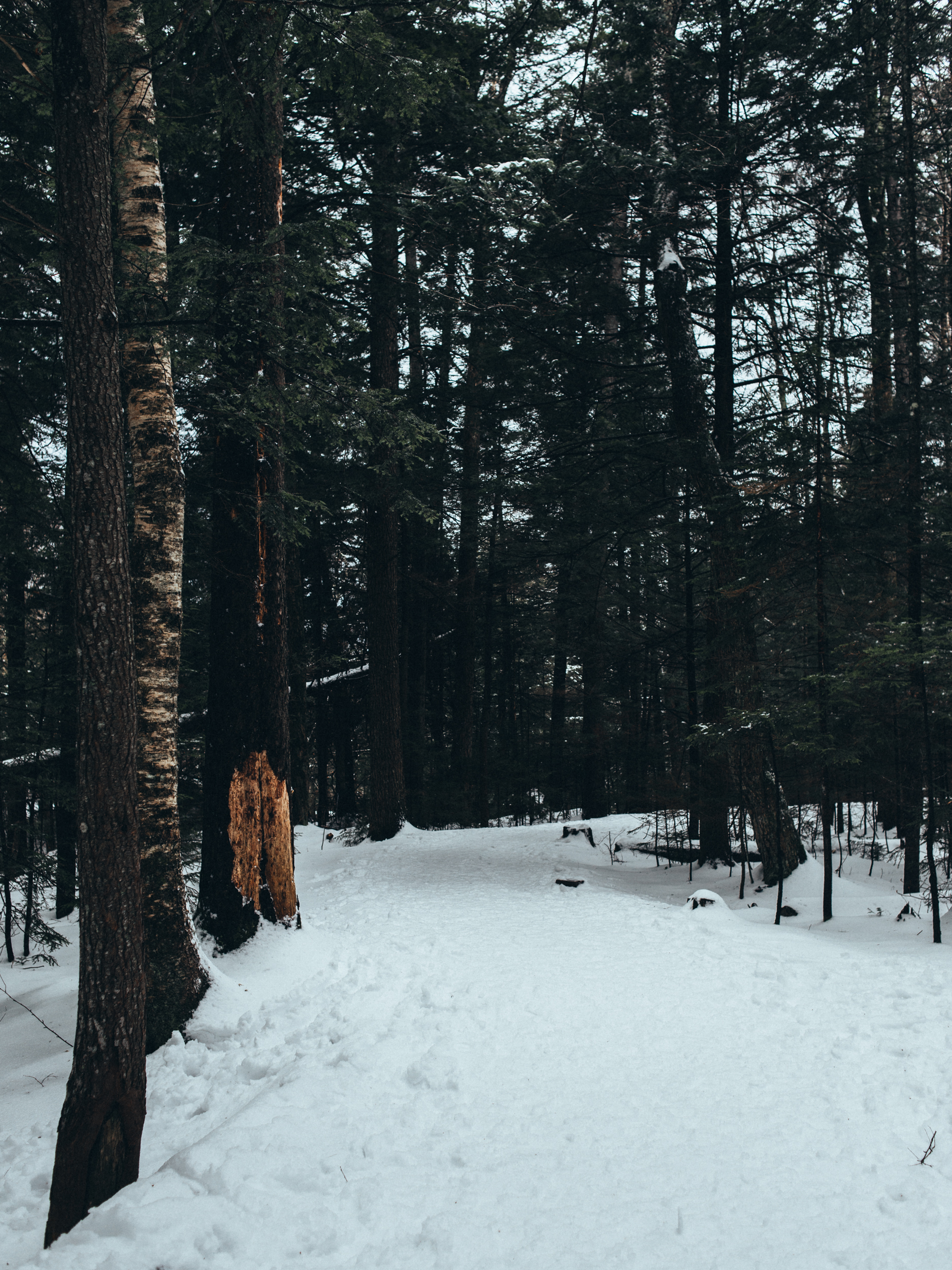 Explore the Basin in Franconia Notch