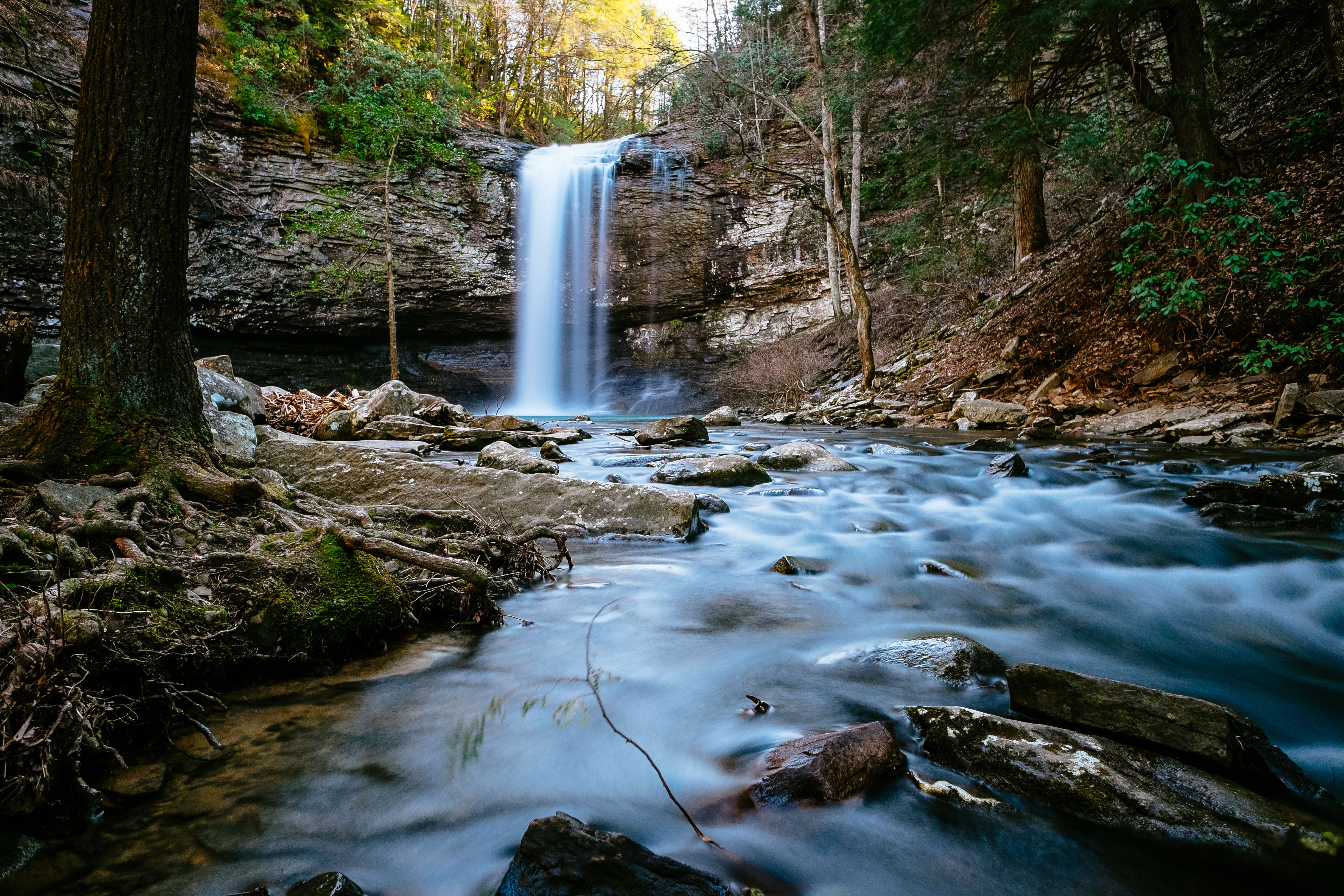 Cloudland Canyon's Waterfall Trail