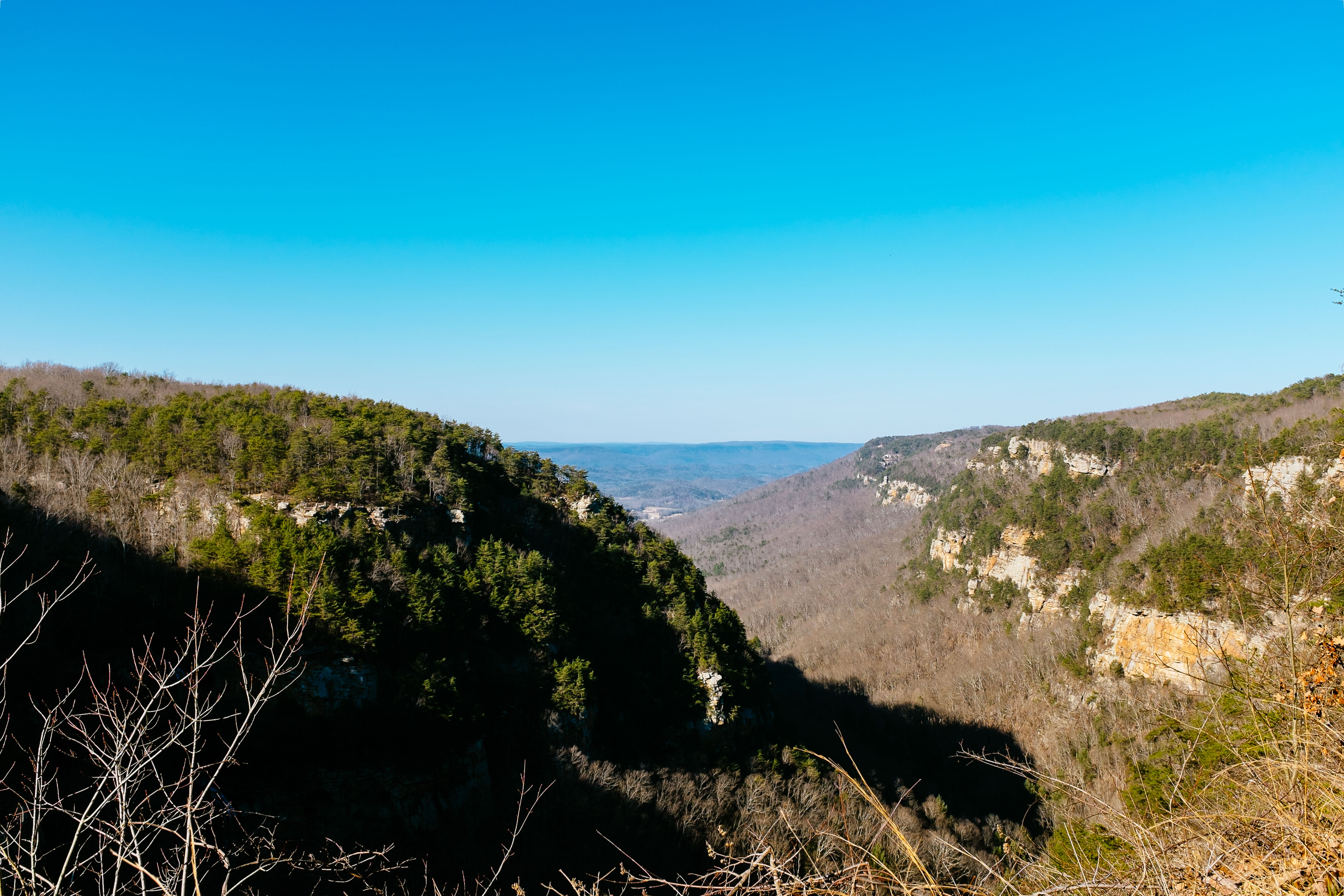 Cloudland Canyon's Waterfall Trail
