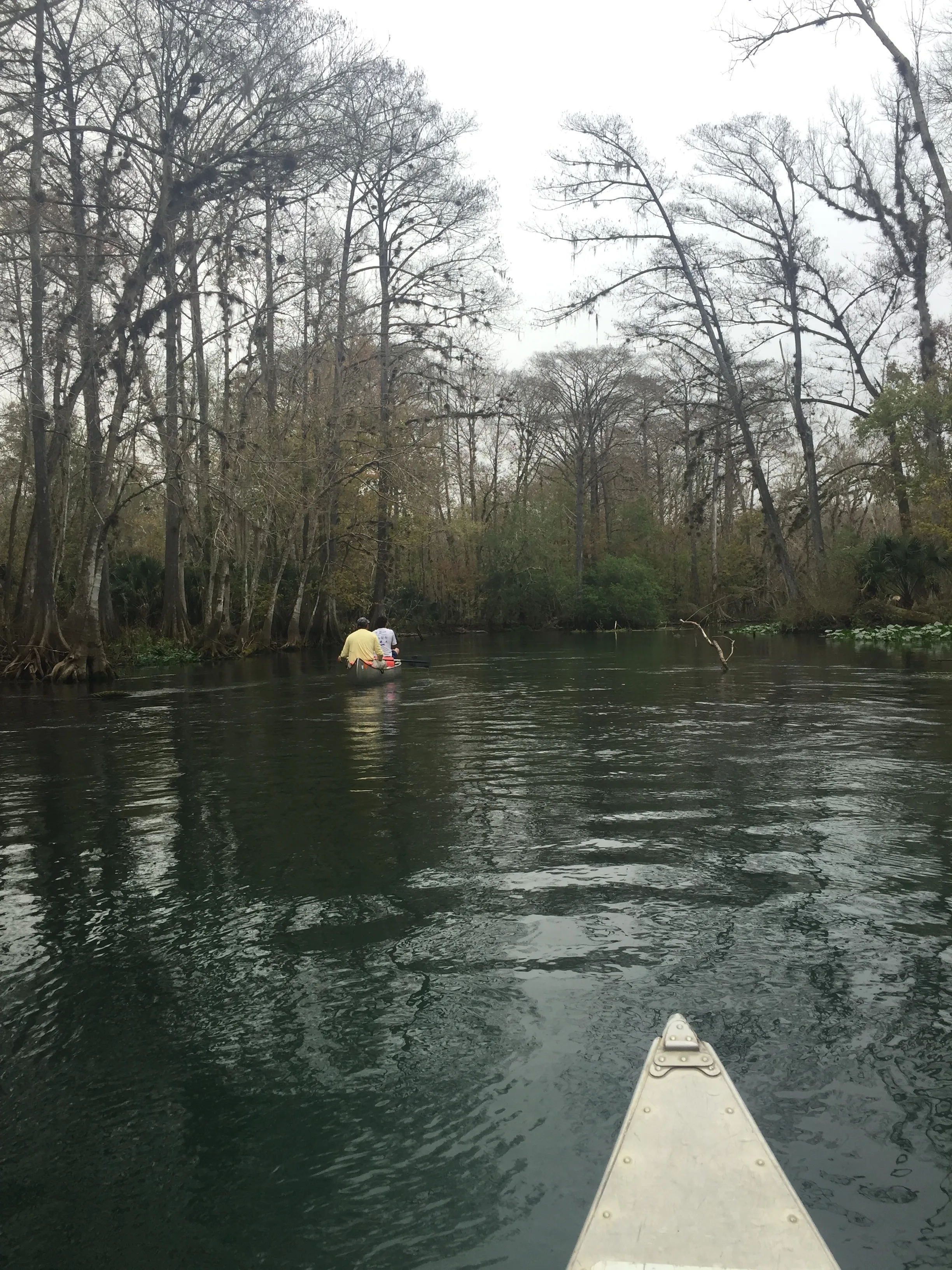 Ocklawaha River