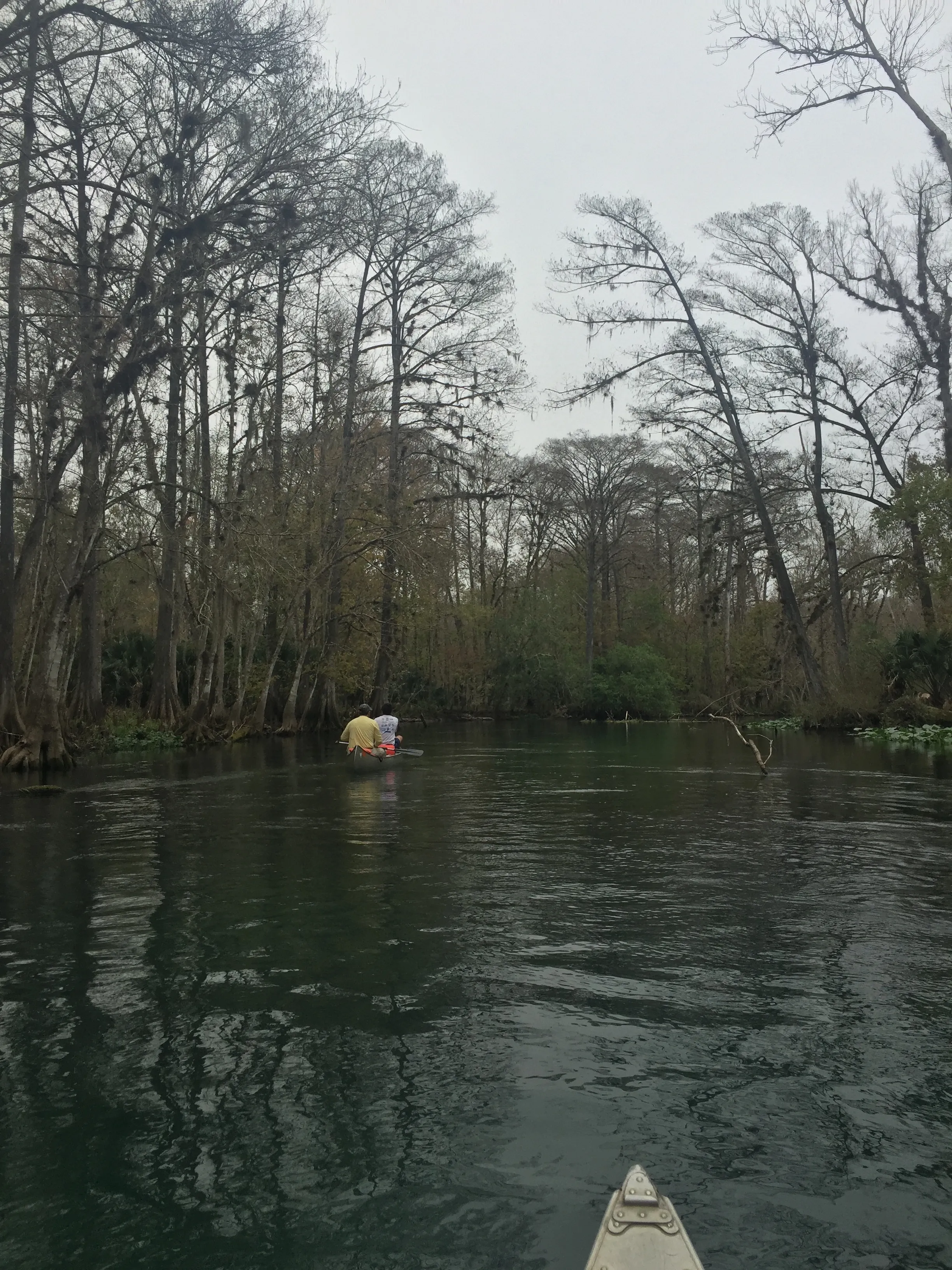 Ocklawaha River