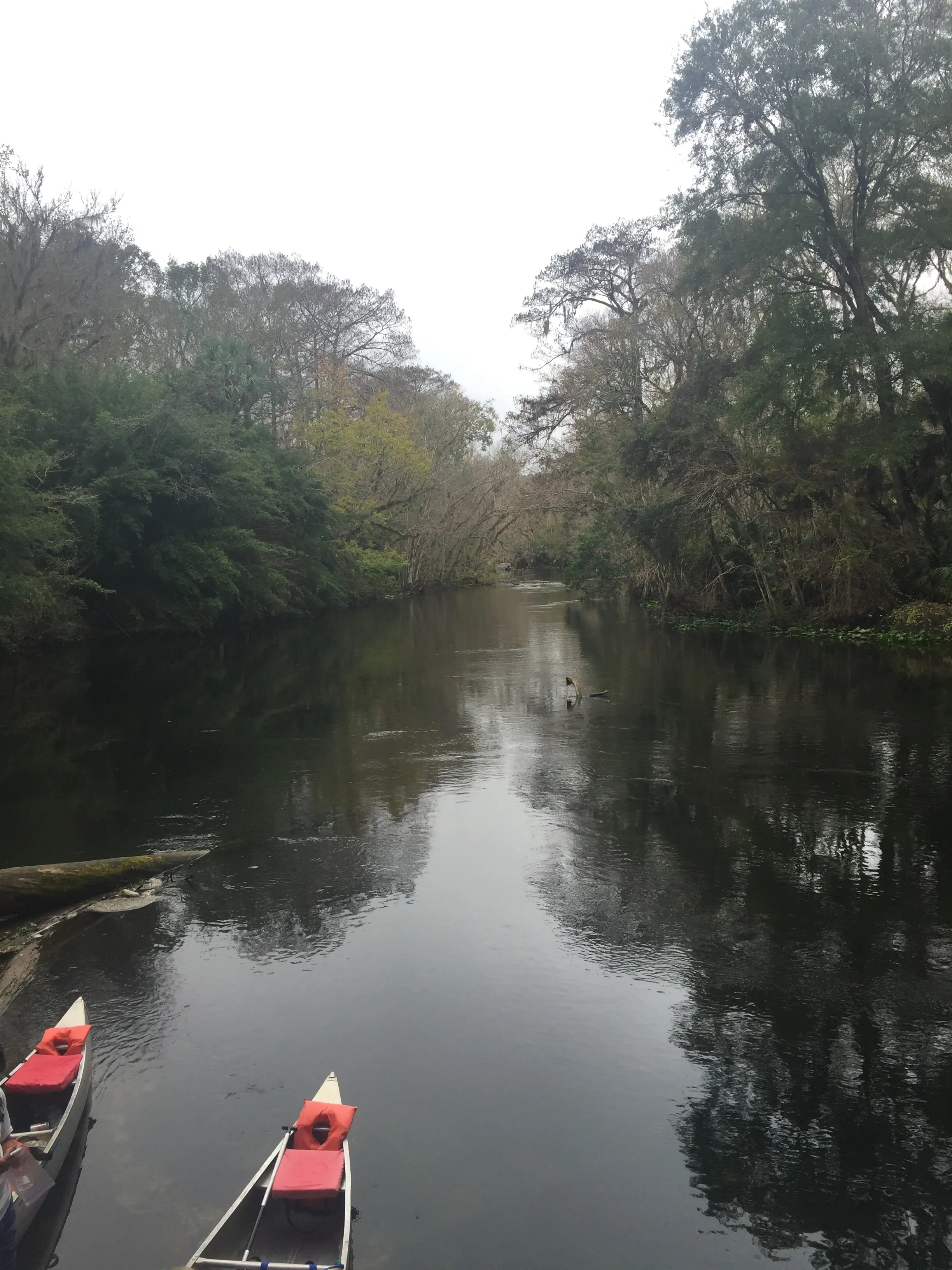 Ocklawaha River