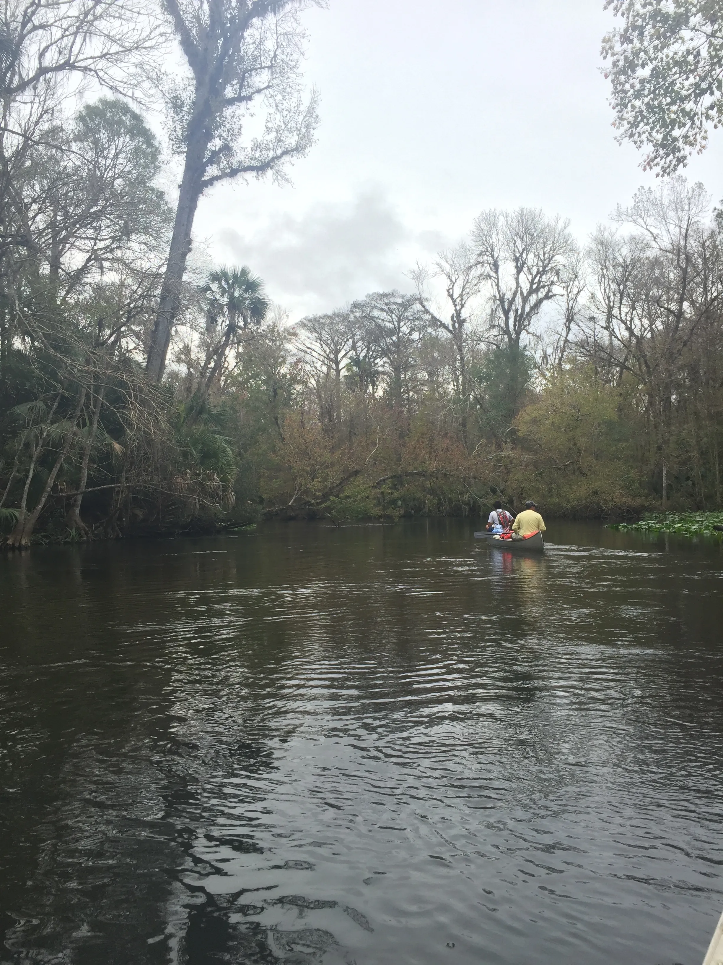Ocklawaha River