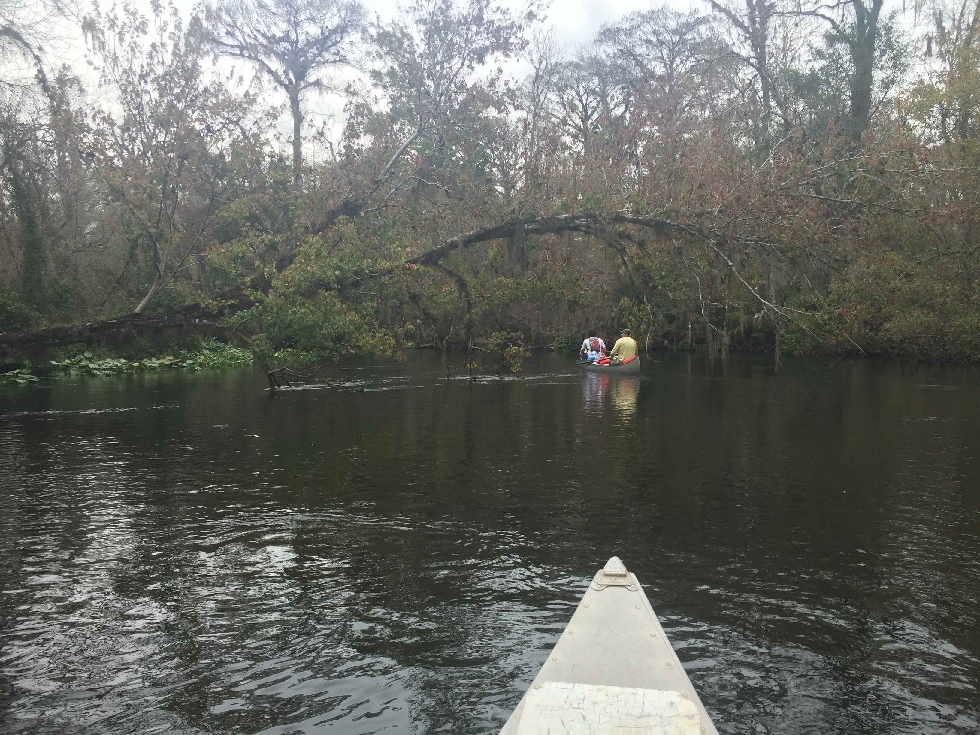 Ocklawaha River