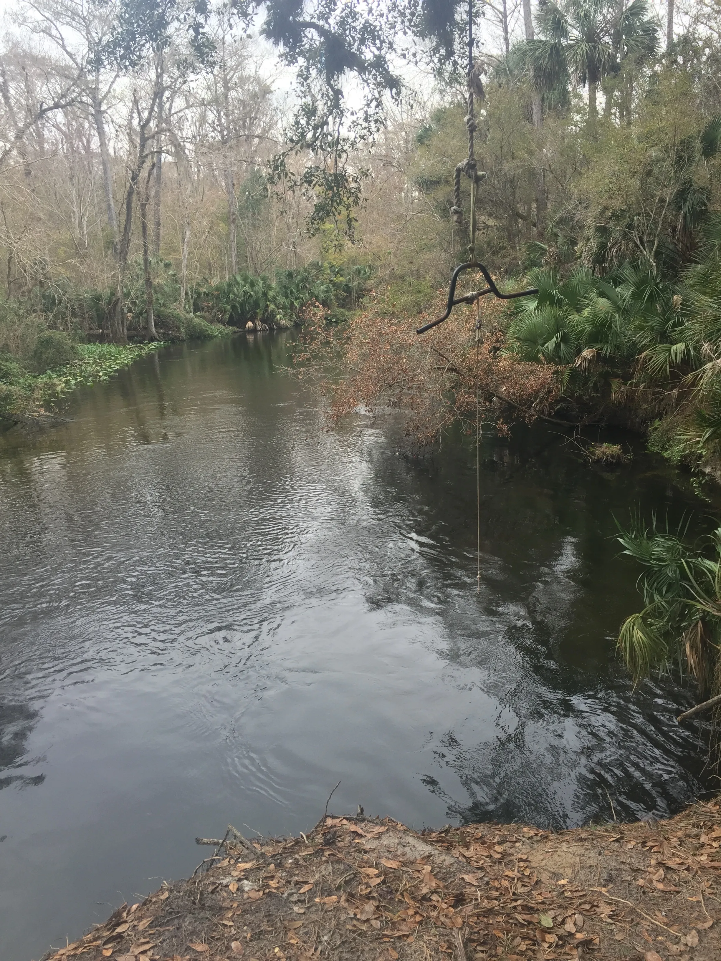 Ocklawaha River