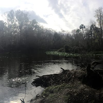 Ocklawaha River