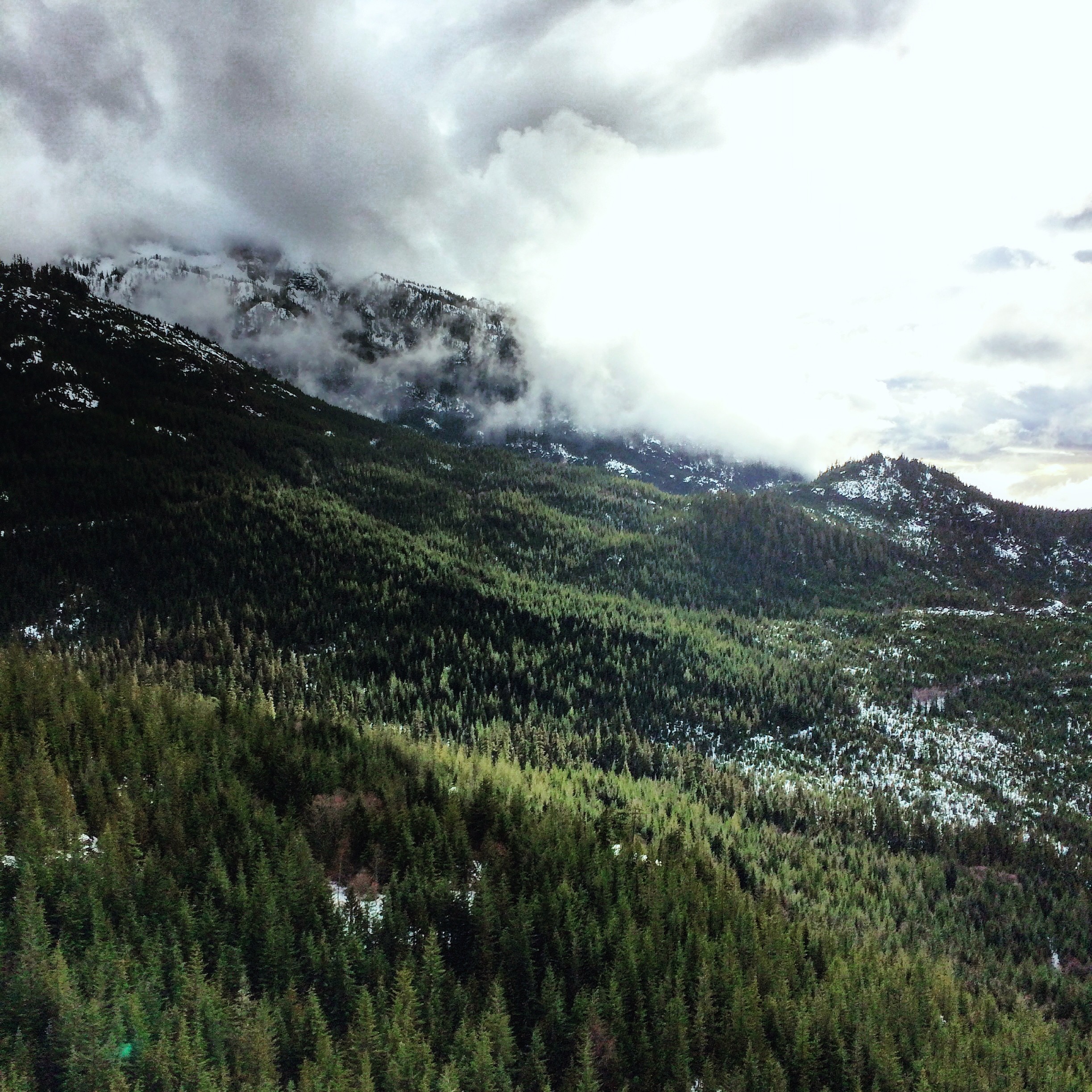 Ride the Sea to Sky Gondola