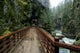Hike the Kettle Valley Trail through the Othello Tunnels