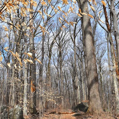 Hike the Indian Springs Trail