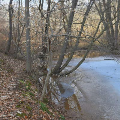 Hike the Indian Springs Trail