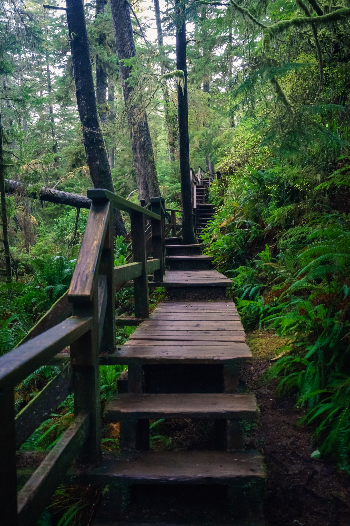 Hike to Schooner Cove