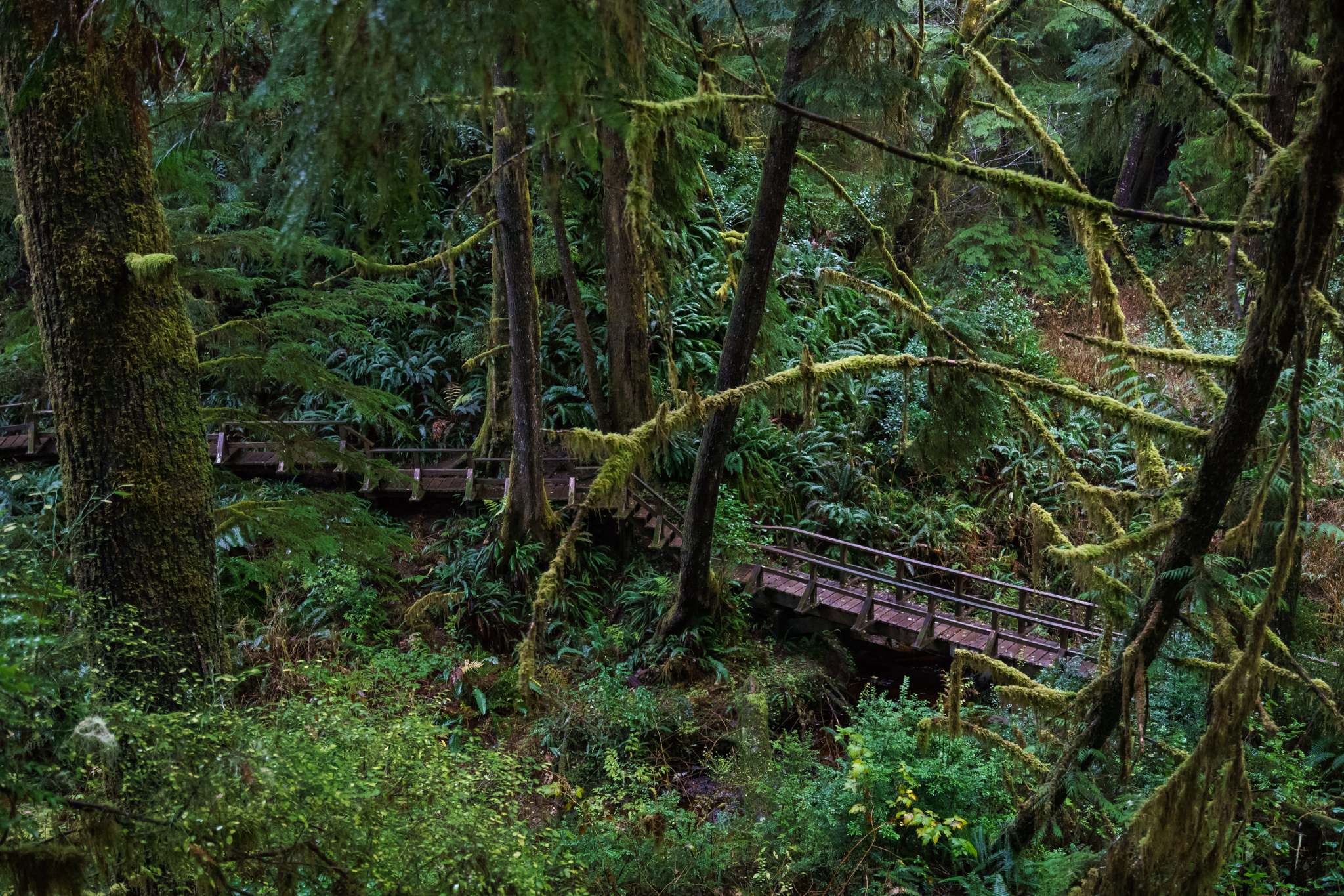 Hike to Schooner Cove