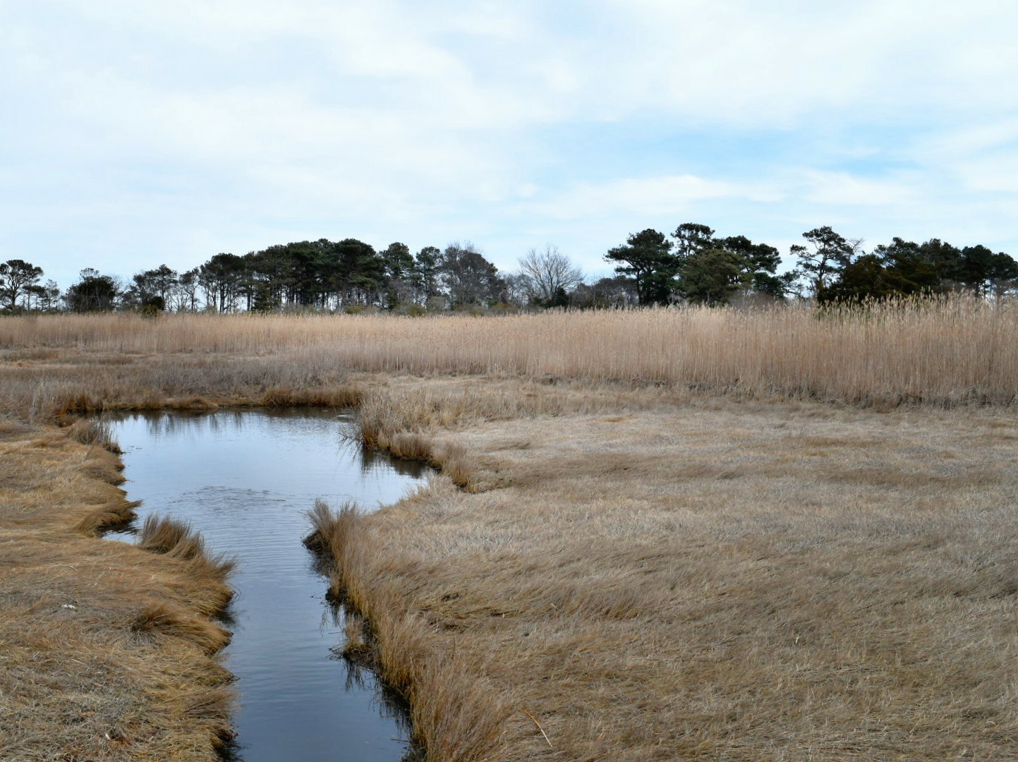 Hike the Burton Island Trail
