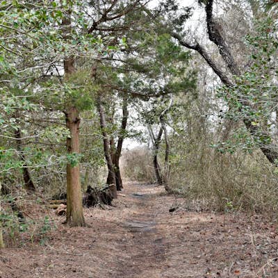 Hike the Burton Island Trail
