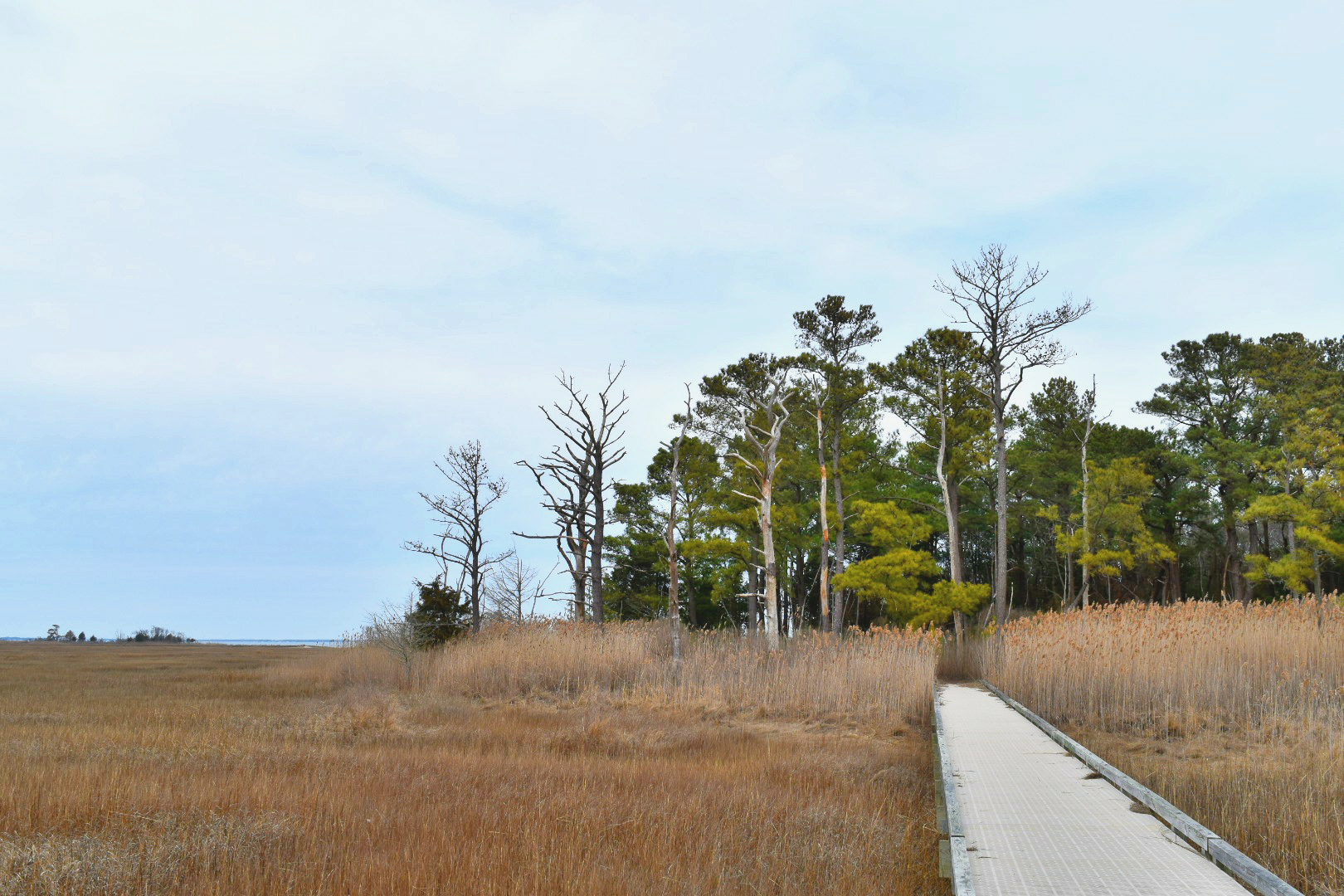 Hike the Burton Island Trail