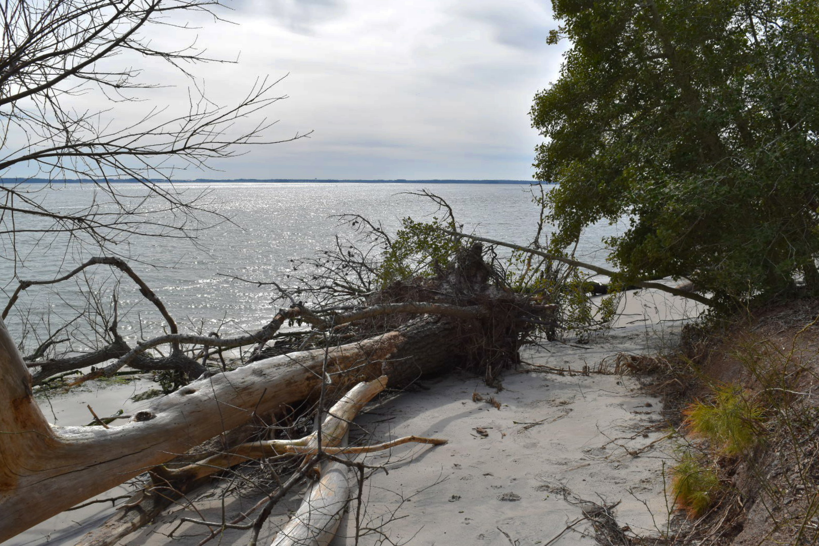 Hike the Burton Island Trail
