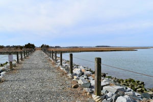 Hike the Burton Island Trail