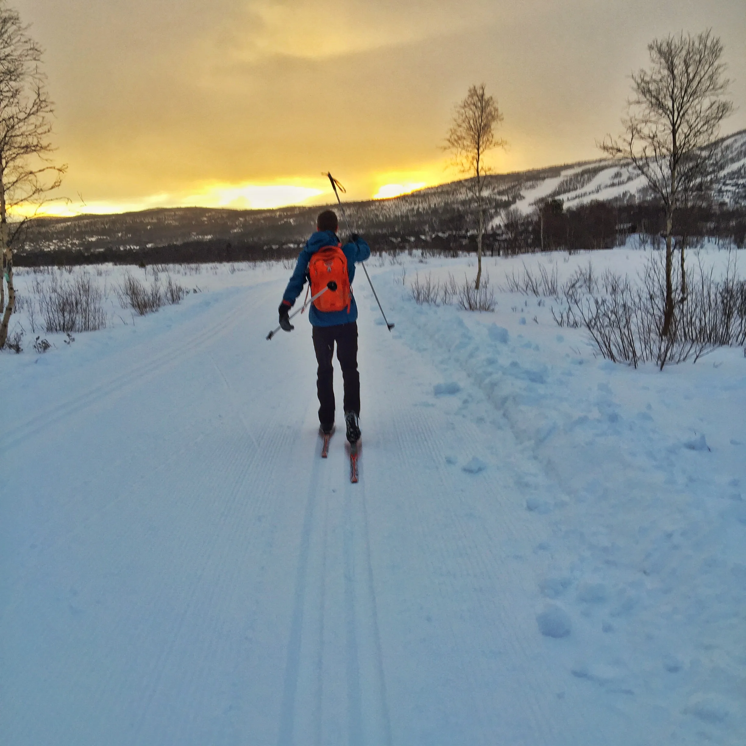 Cross-Country Ski Geilo Skisenter