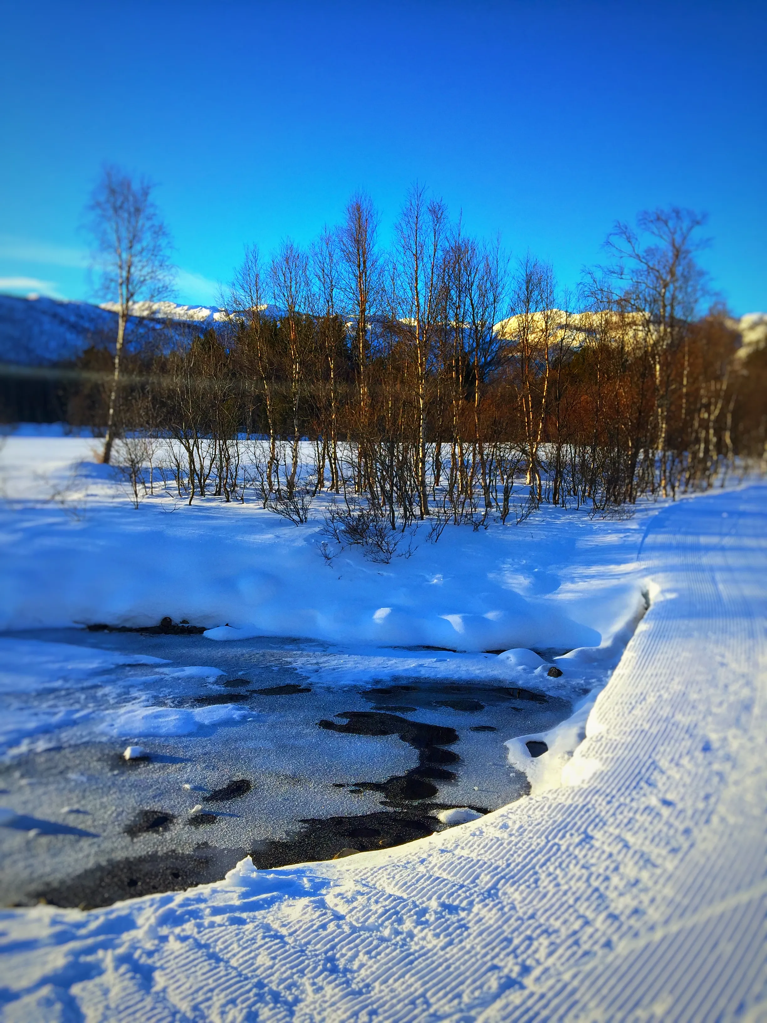 Cross-Country Ski Geilo Skisenter
