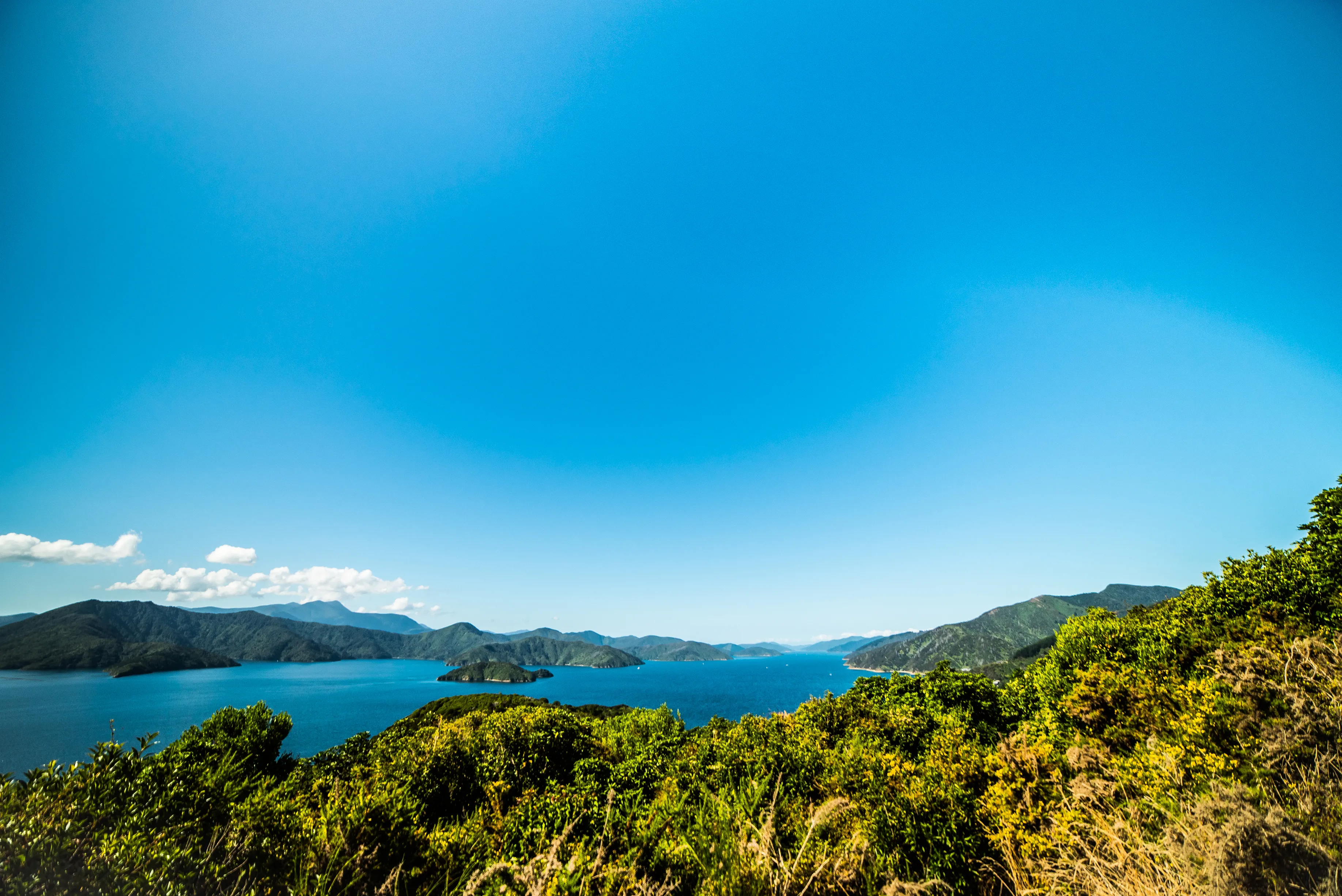 Hike The Snout Track
