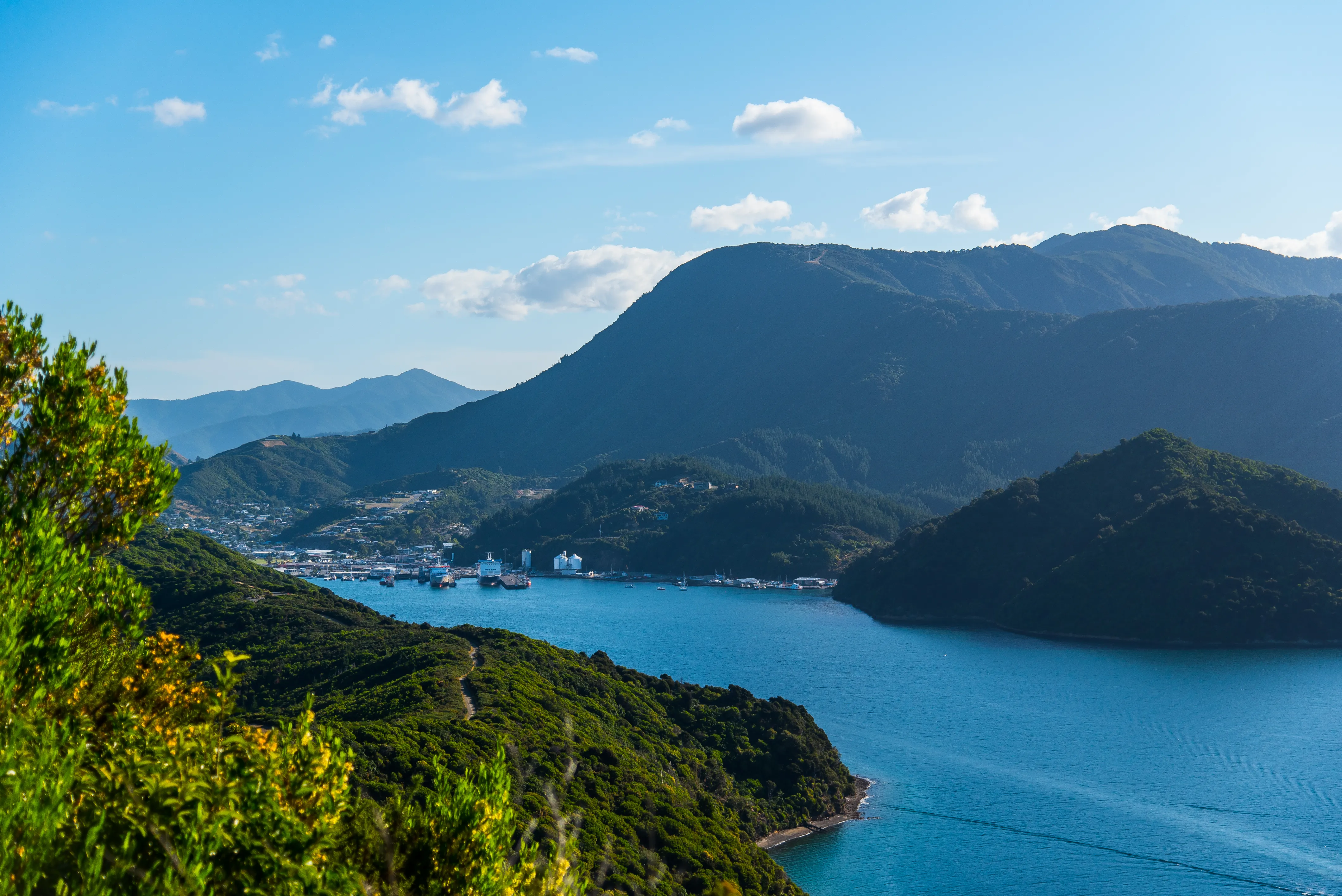 Hike The Snout Track