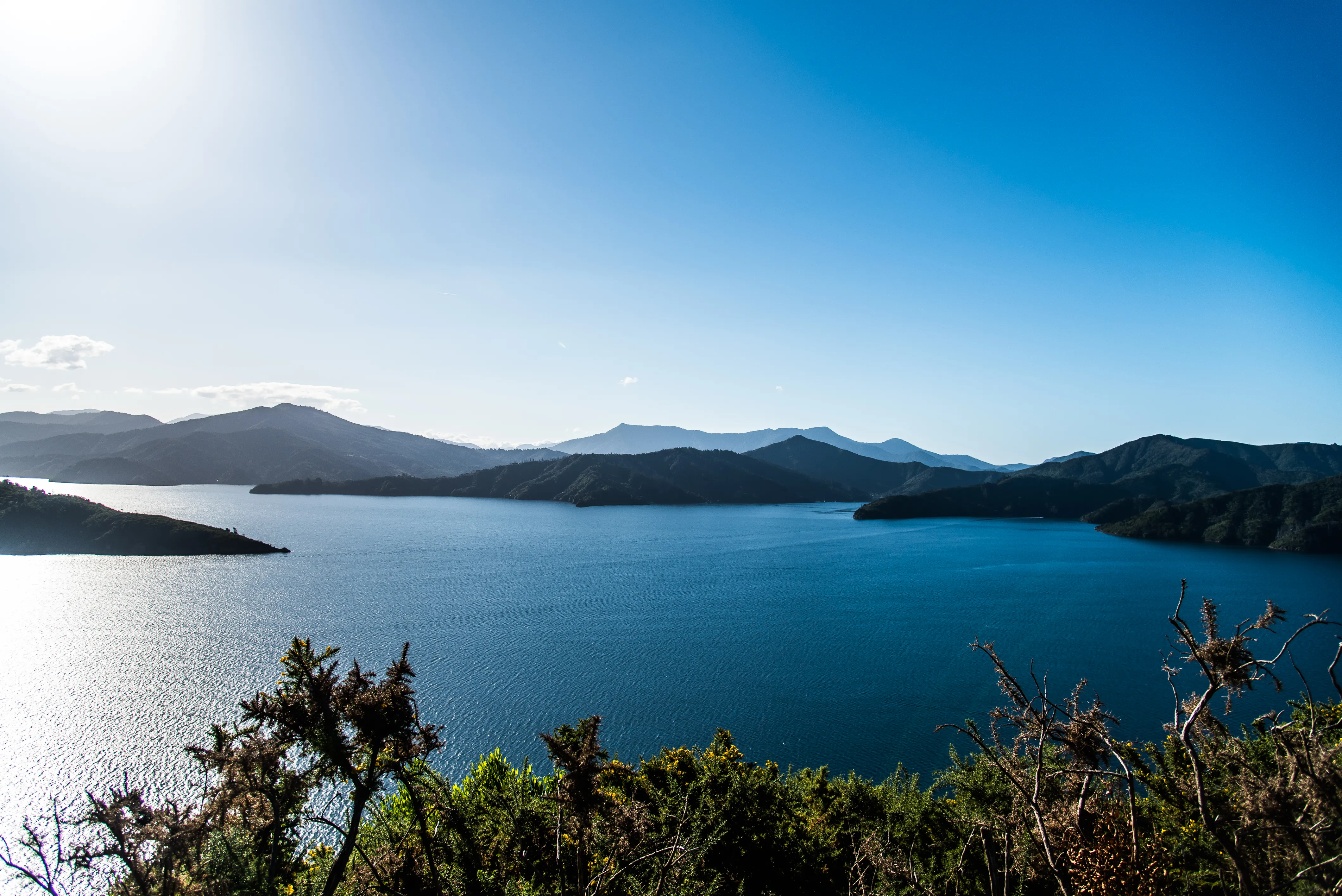 Hike The Snout Track