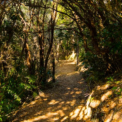 Hike The Snout Track