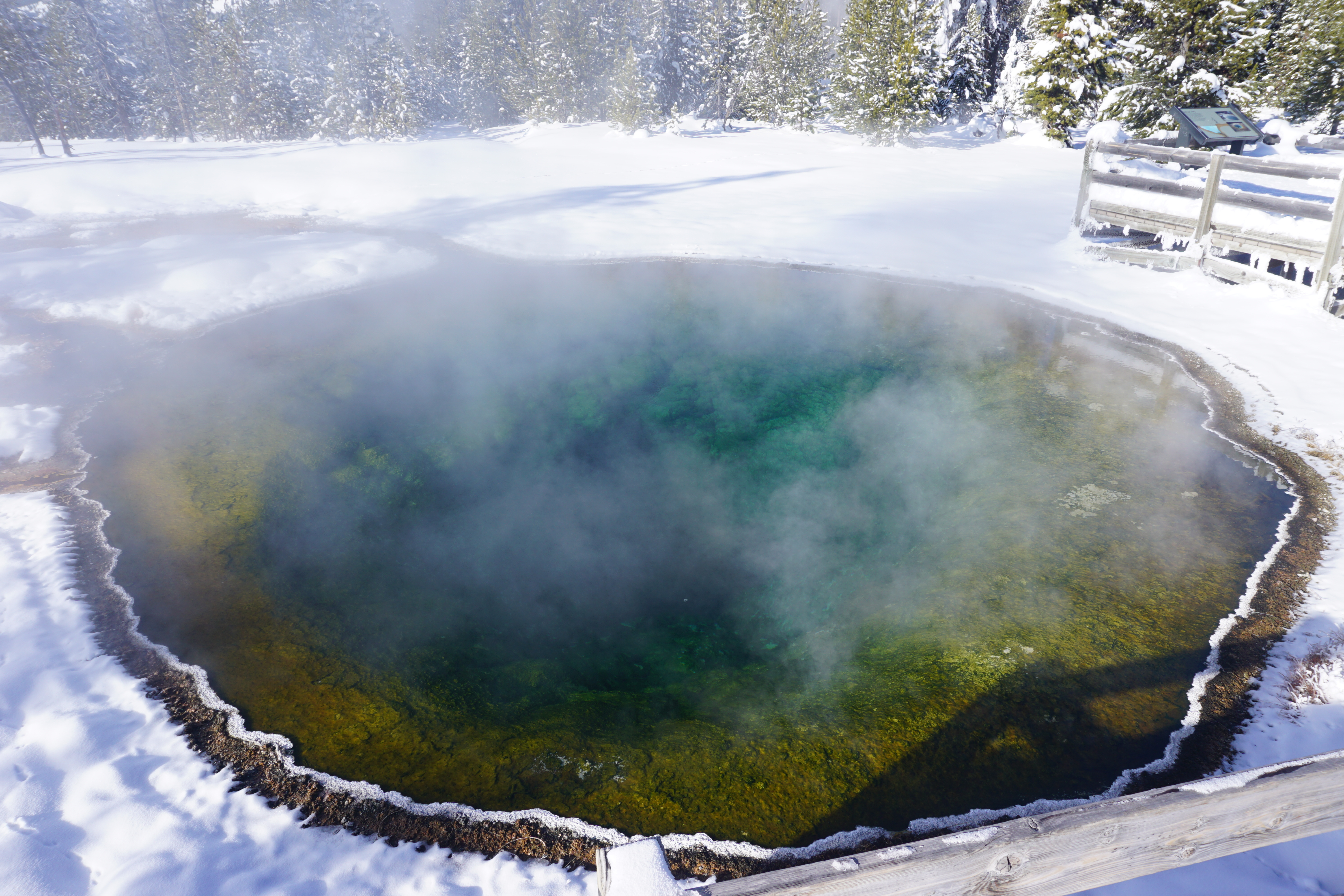 Upper Geyser Basin Old Faithful Observation Point Loop