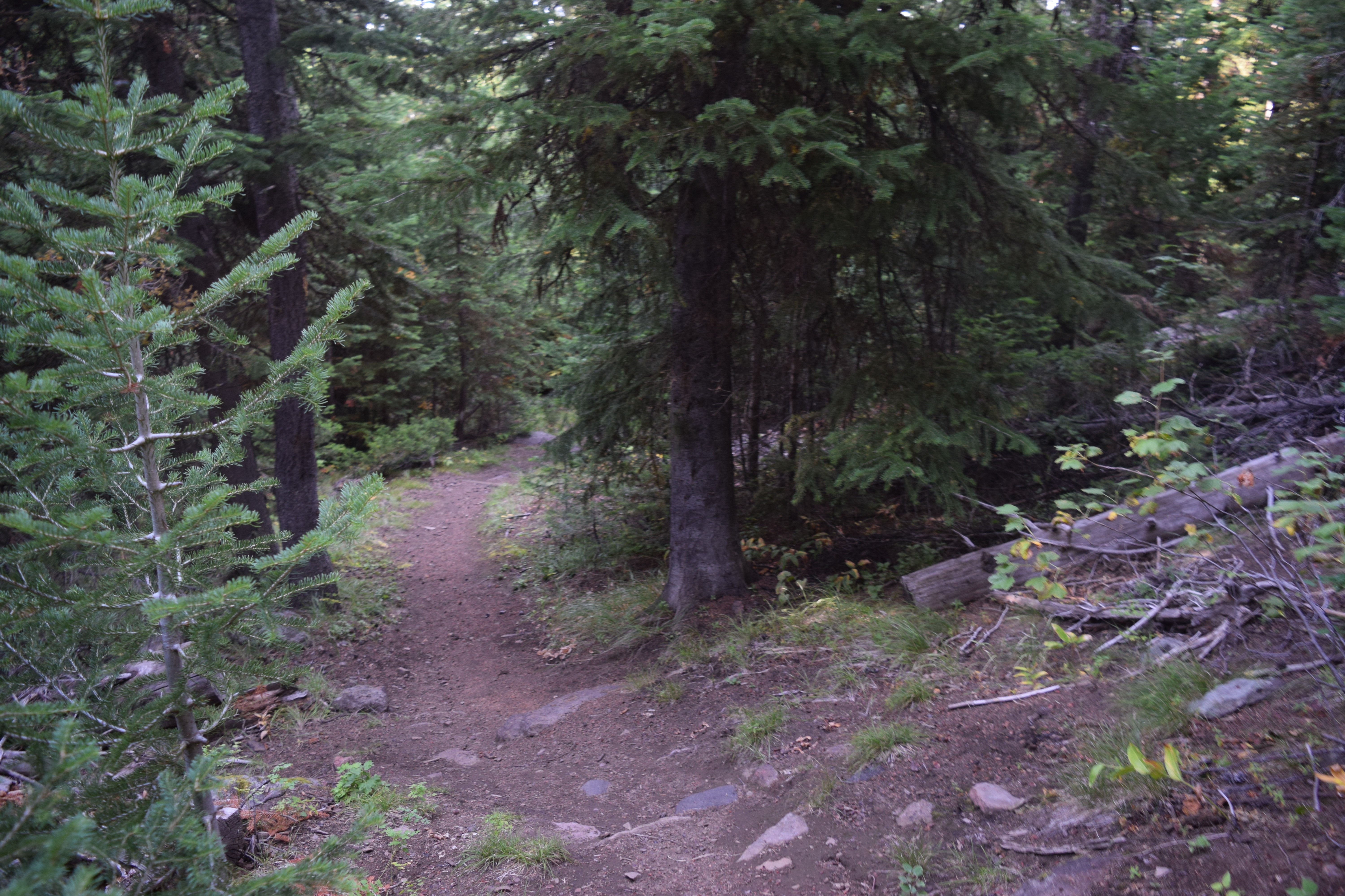 Hike Eagle Loop