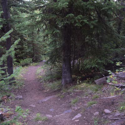 Hike Eagle Loop