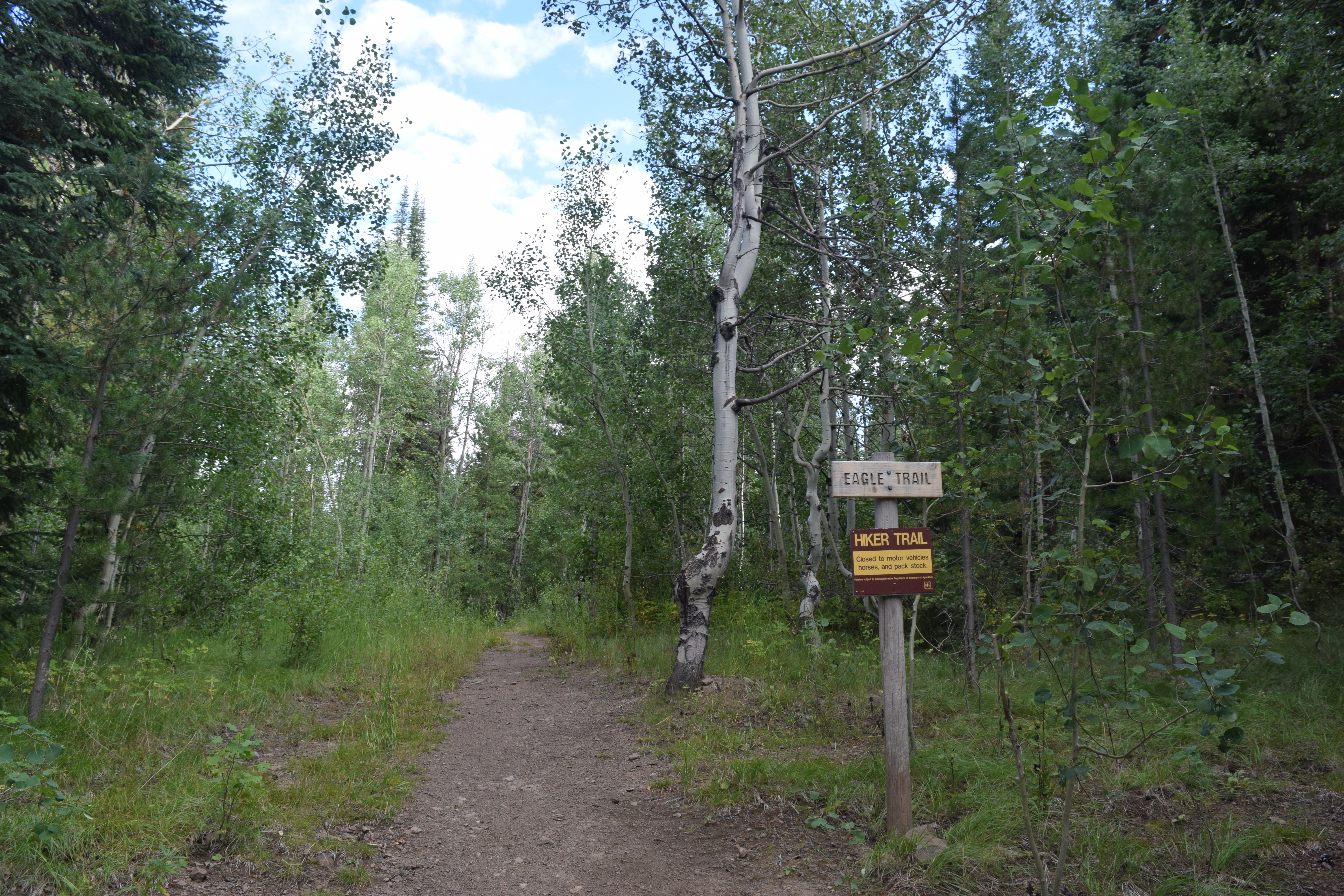 Hike Eagle Loop