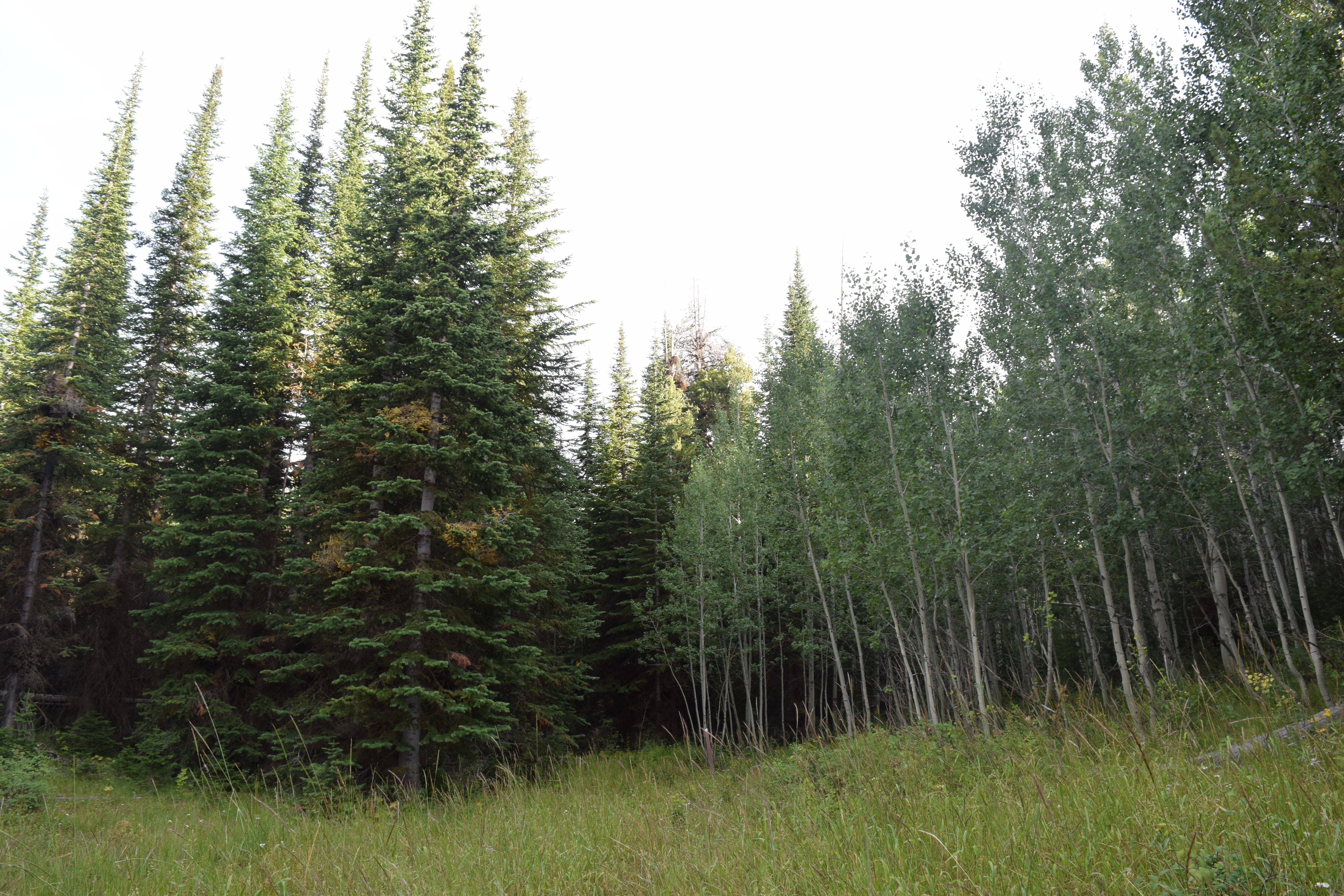 Hike Eagle Loop