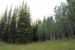 Hike Eagle Loop