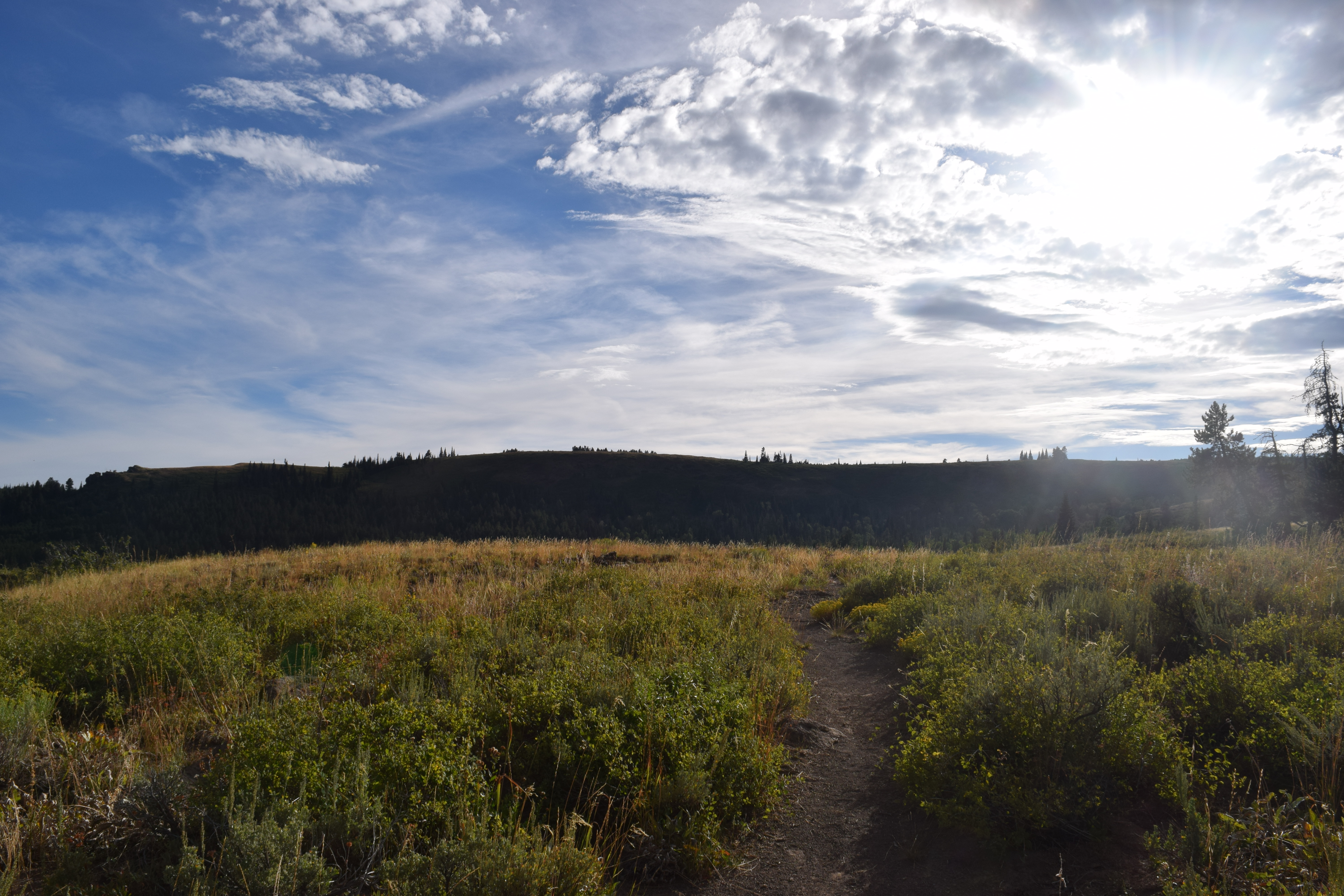 Hike Eagle Loop