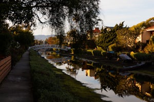 Explore the Venice Canals