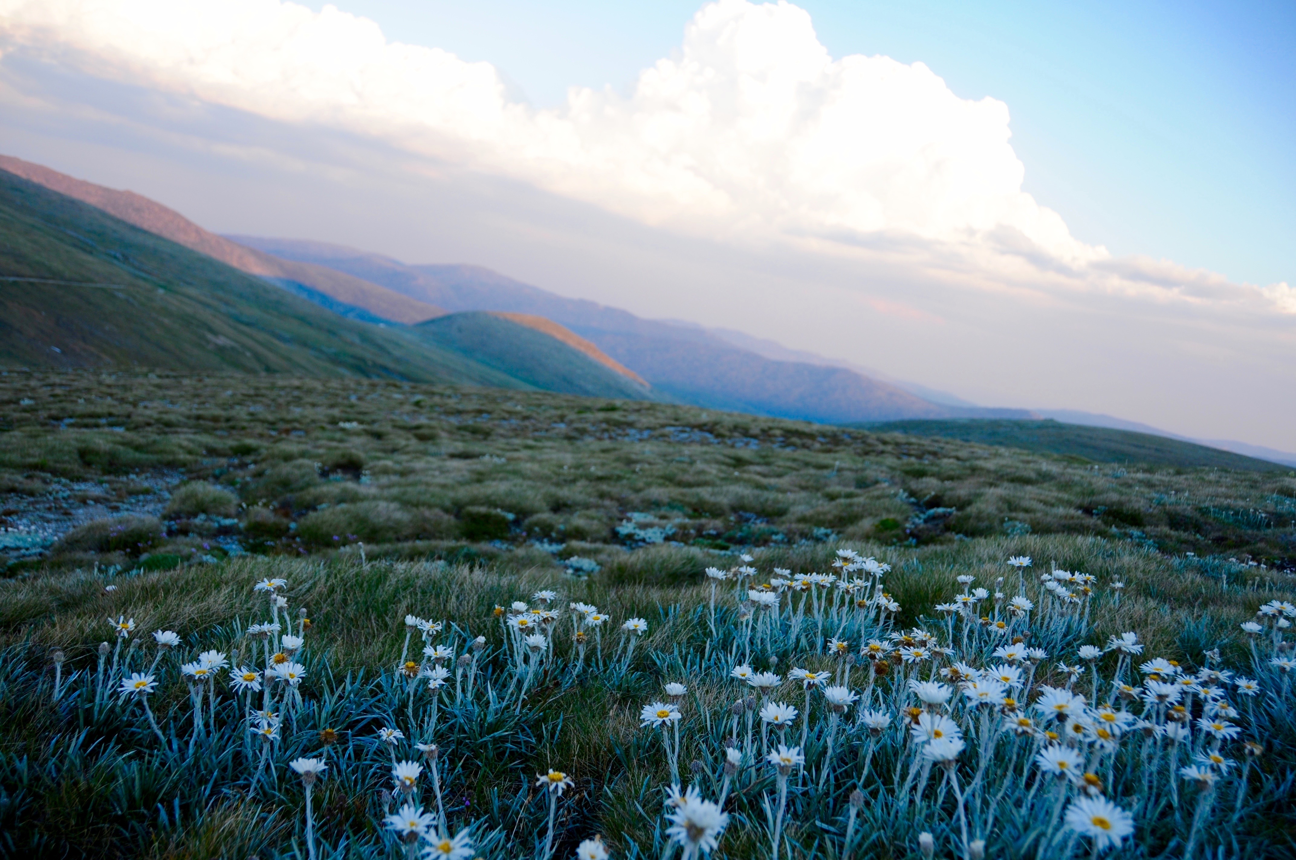 Hike to Kosciuszko Summit