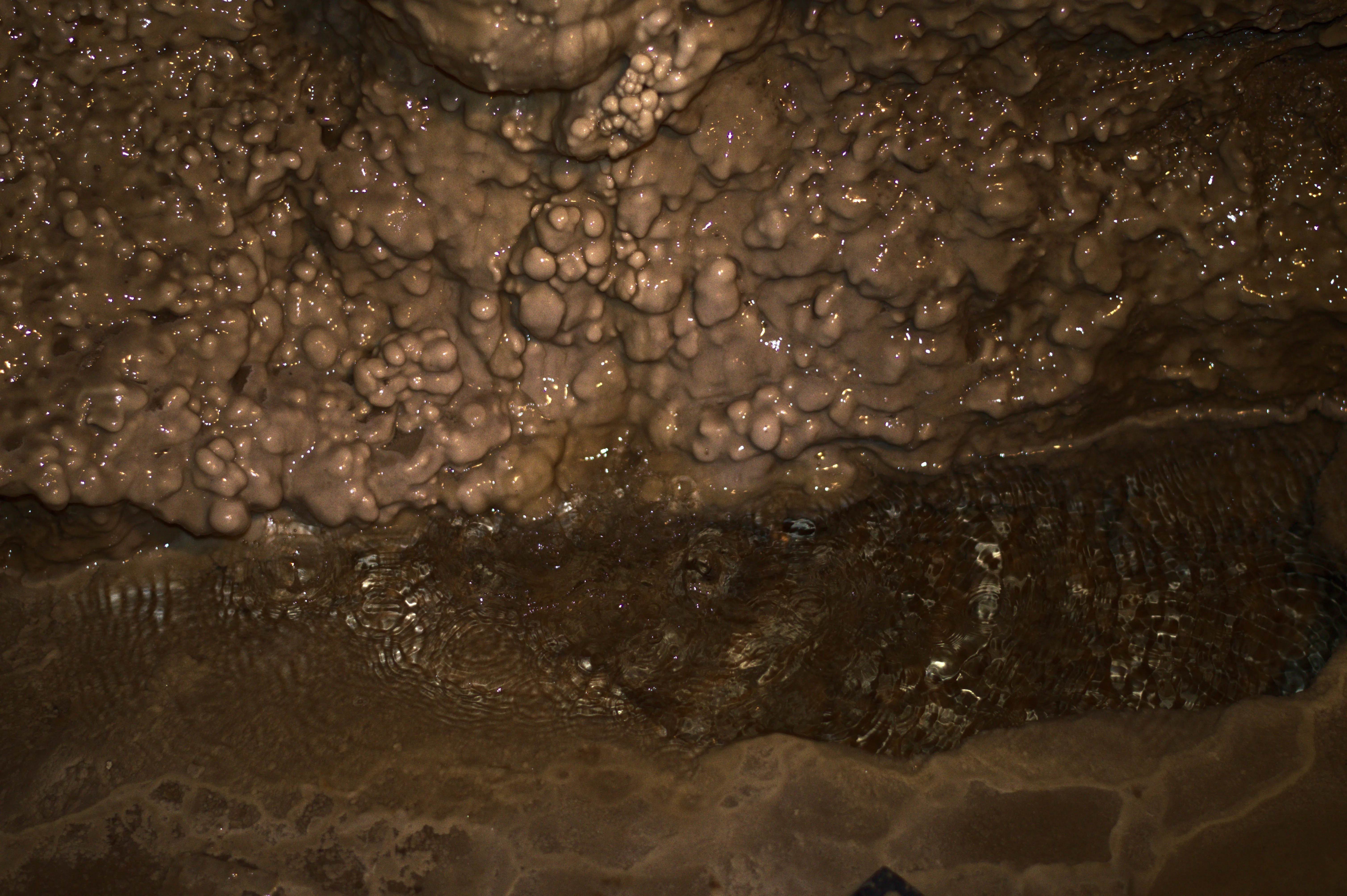 Explore Crystal Lake Cave