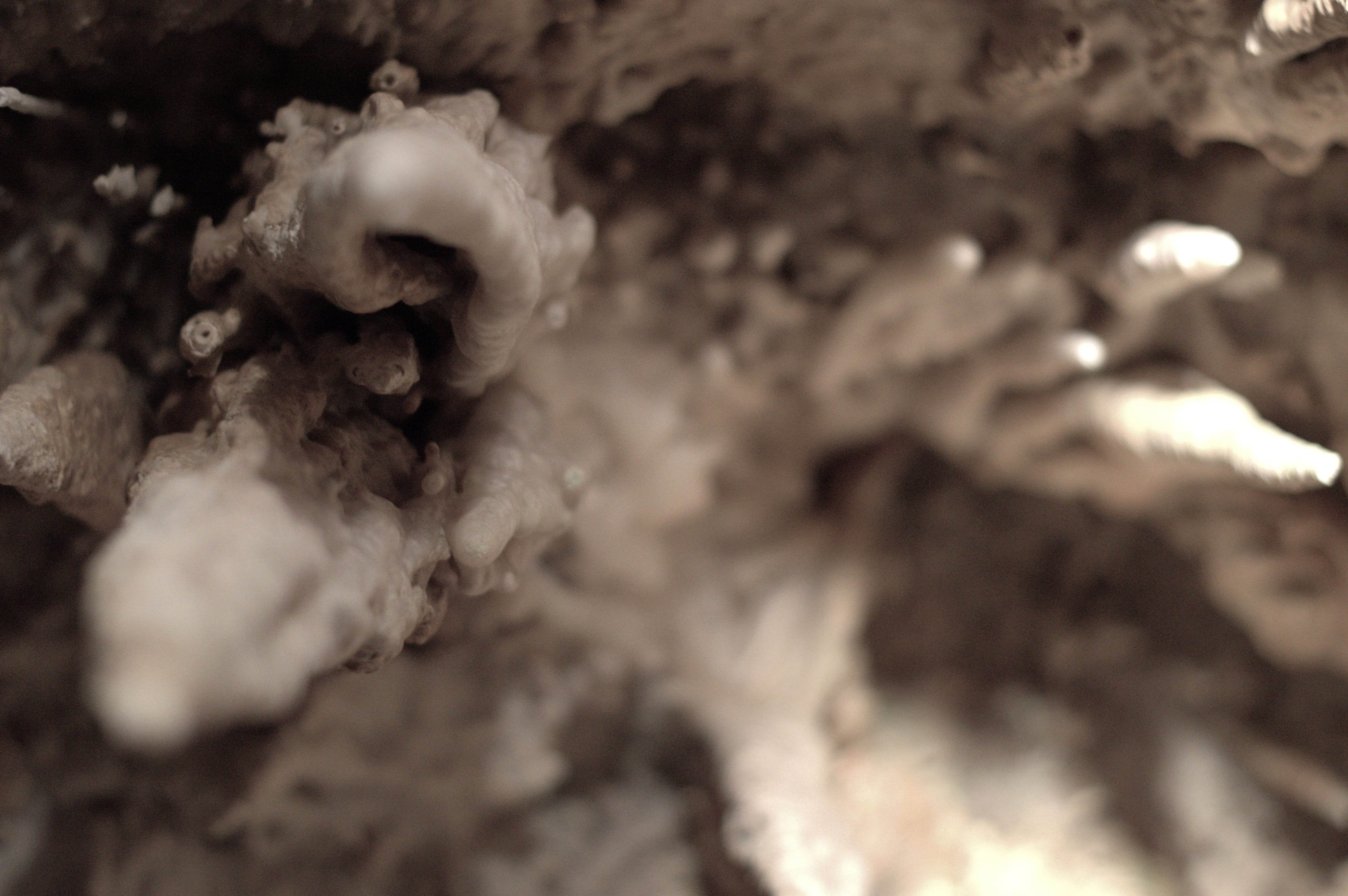 Explore Crystal Lake Cave