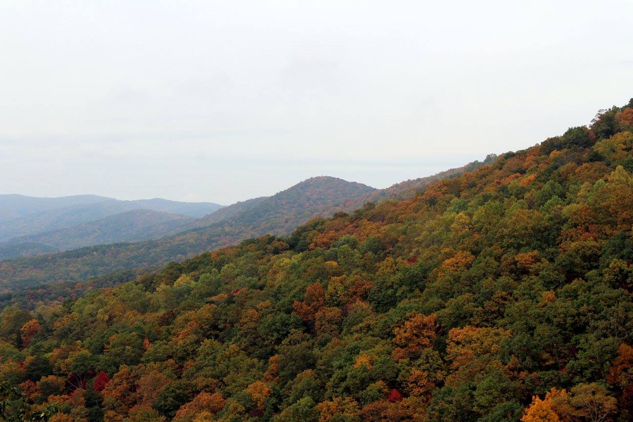 Photo of Arkaquah Trail Hiking Brasstown Bald to Track Rock Gap