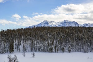 Ski or Snowshoe the Park Creek Trails