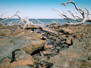 Beach Day at Blackrock Beach on Big Talbot Island