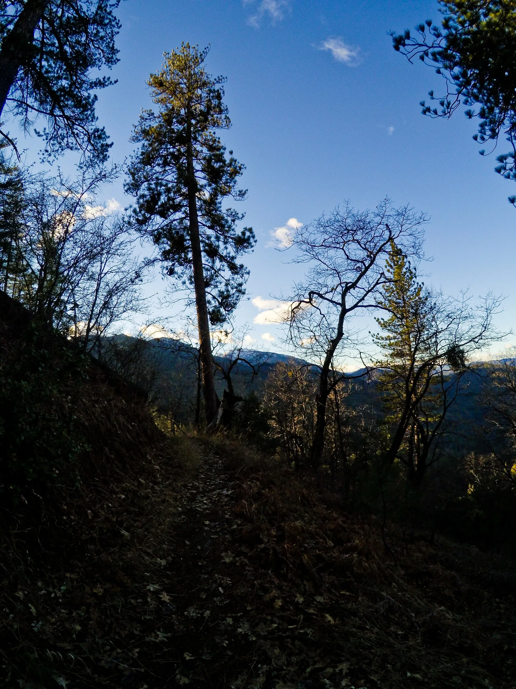 Hike Kanaka Peak
