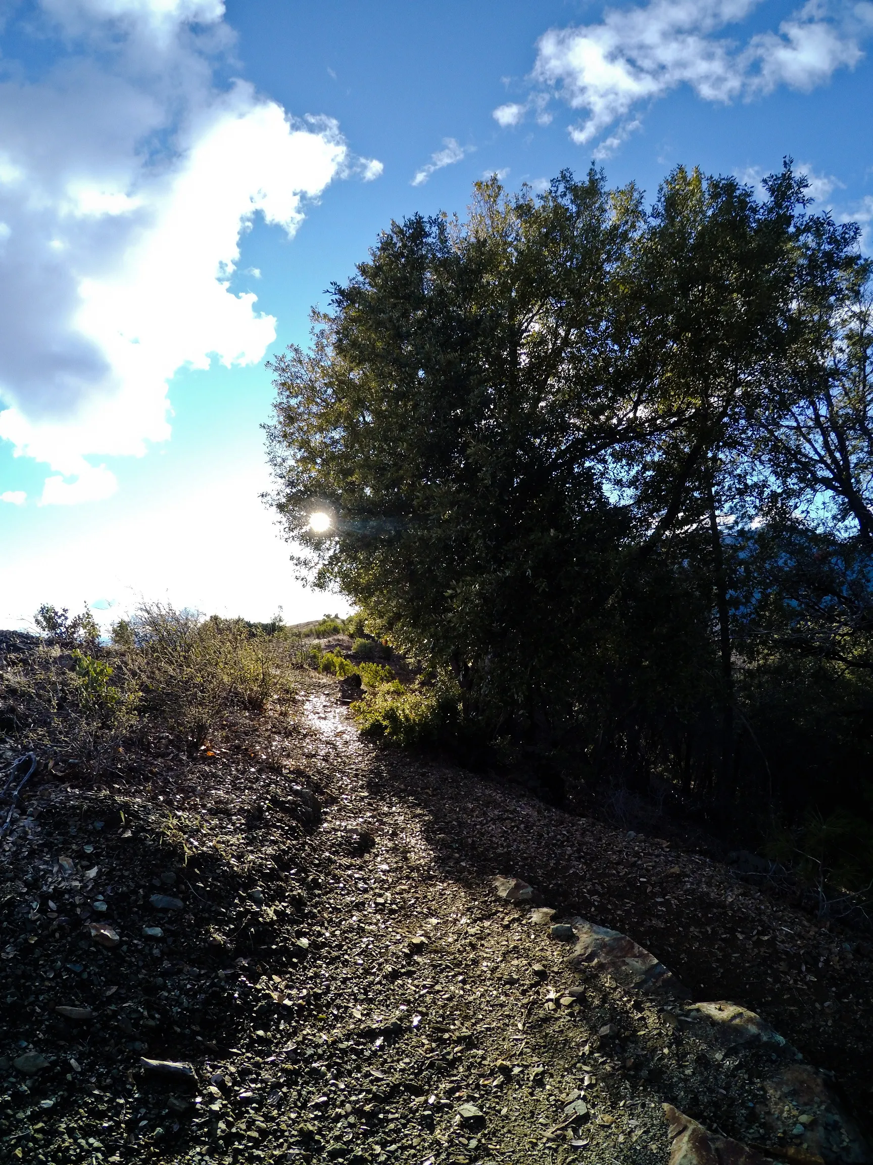 Hike Kanaka Peak