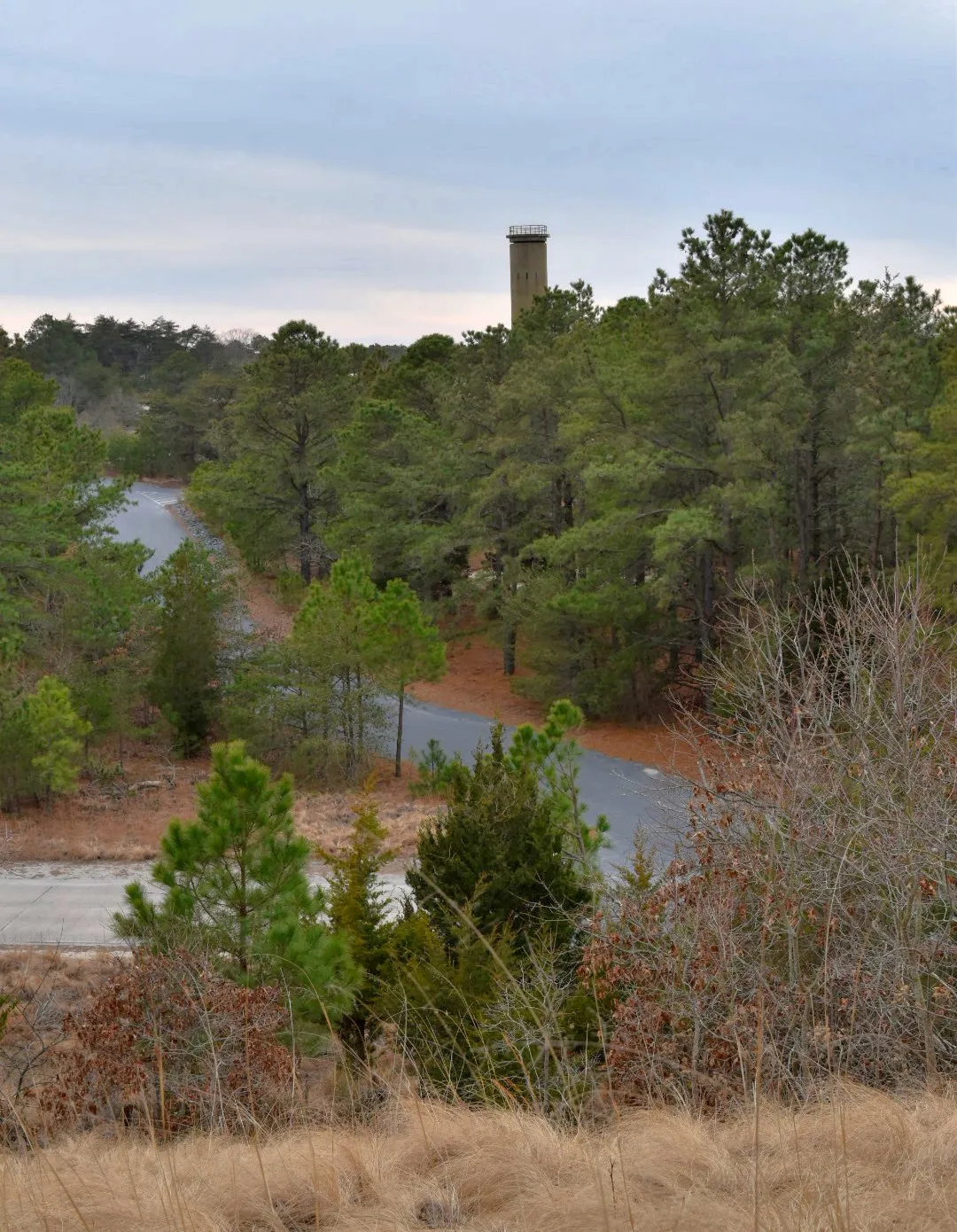 Pinelands Trail