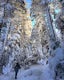 Snowshoe Mount Pierce